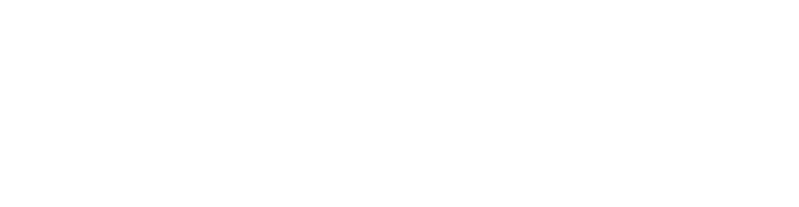 SYNASIA HOTELS Logo